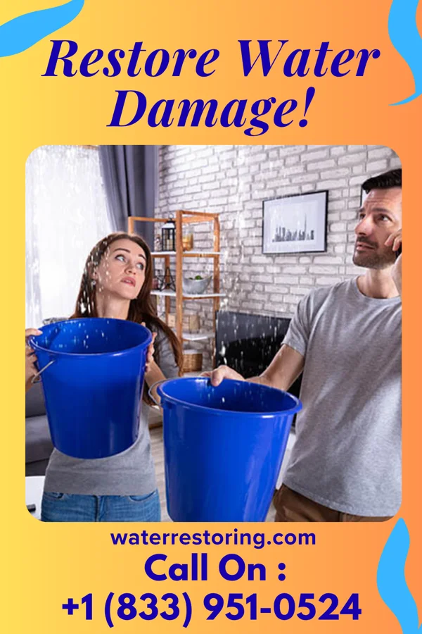 water restoration Zenith Flood Cleanup Solutions Kenton