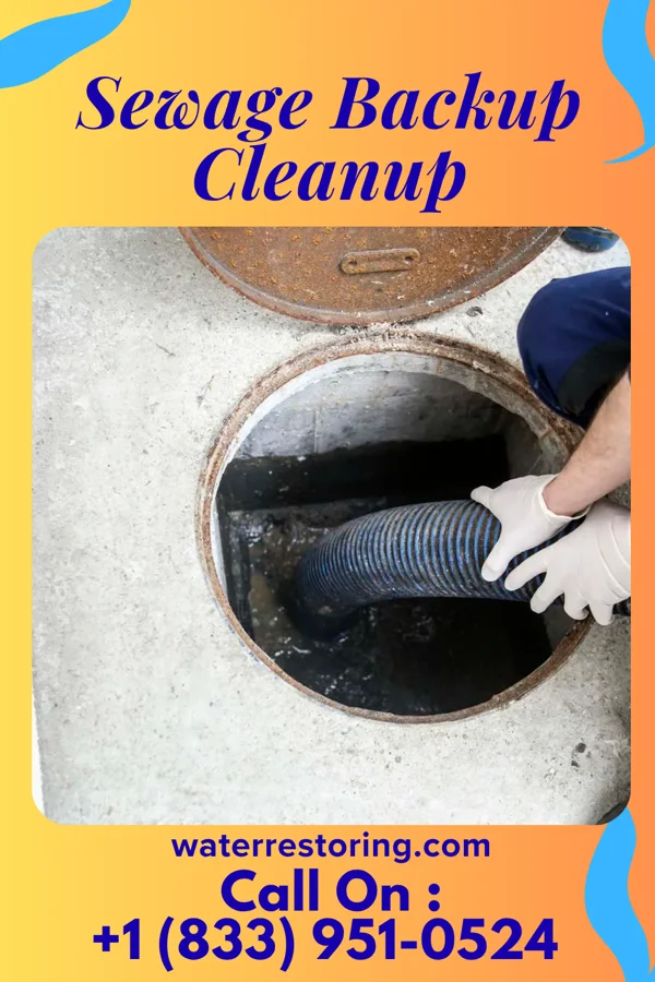 Sewage Backup Cleanup in Kenton, TN