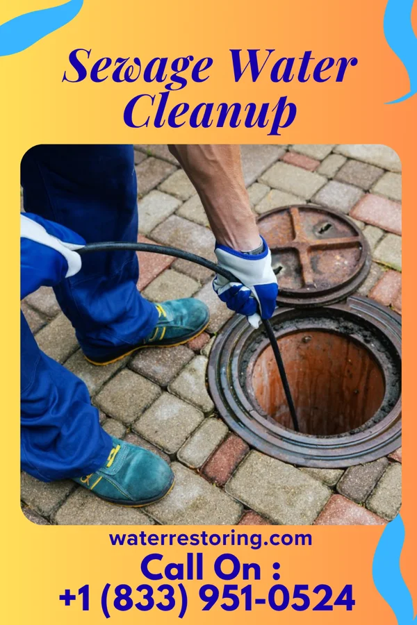Sewage Water Cleanup in Kenton, TN